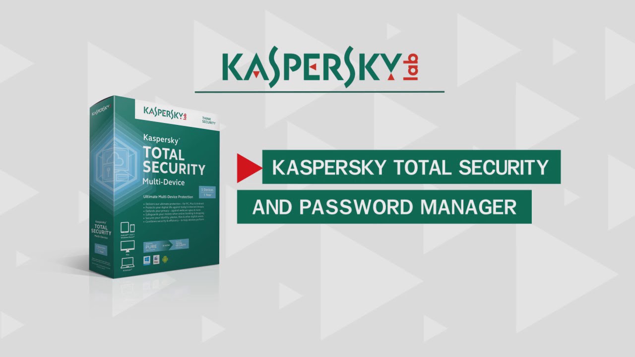 Mauris Gravida Kaspersky Work Space Security